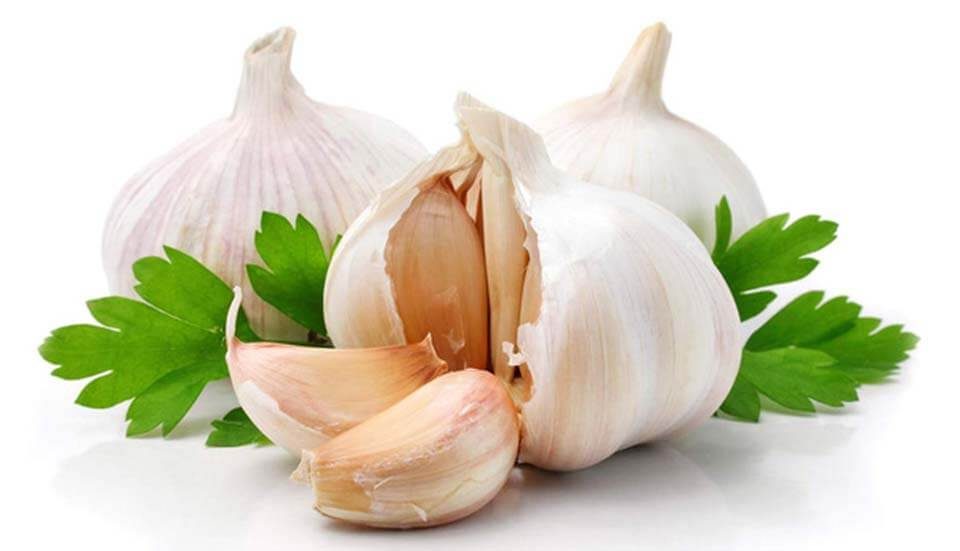 sarımsak