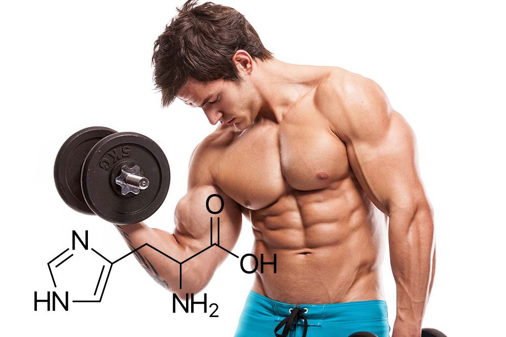 amino asitler